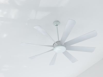 fan